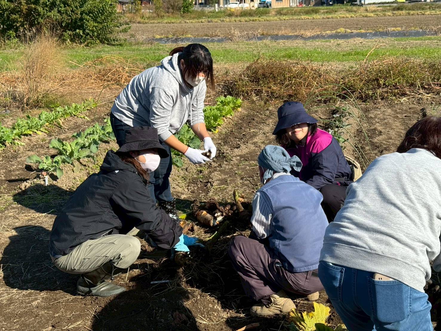 里芋ほりを実施しました